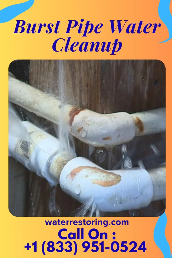 Burst Pipe Water Cleanup in Allen Park, MI