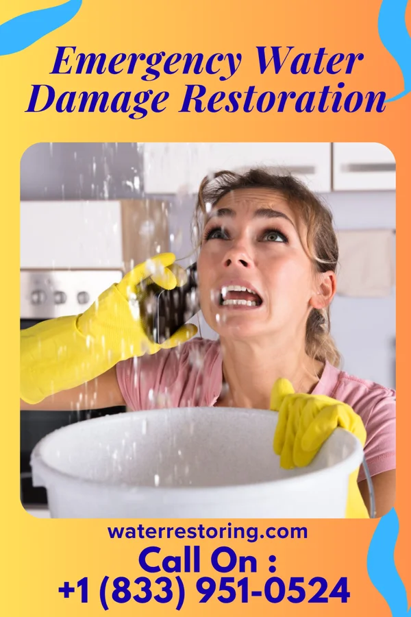 Emergency Water Damage Restoration in Allen Park, MI