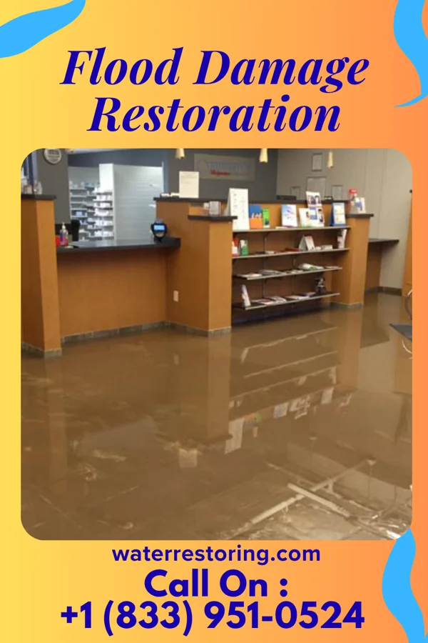 Flood Damage Restoration in Allen Park, MI