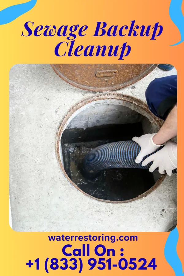 Sewage Backup Cleanup in Allen Park, MI